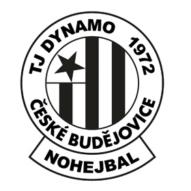 TJ DYNAMO ČEZ České Budějovice 